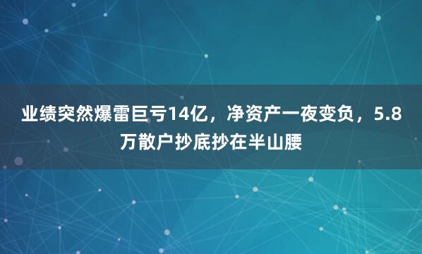 业绩突然爆雷巨亏14亿，净资产一夜变负，5.8万散户抄底抄在半山腰