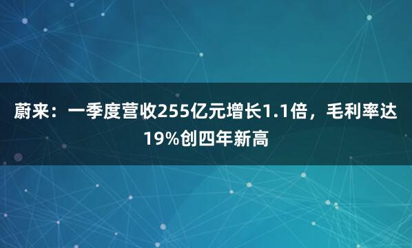 蔚来：一季度营收255亿元增长1.1倍，毛利率达19%创四年新高